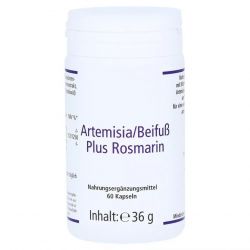 Артемизинин 150 мг капс. 60шт в Бугульме и области фото